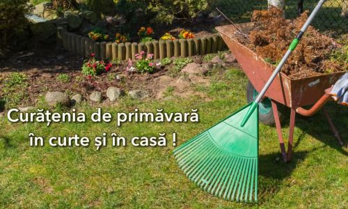 Curățenia de primăvară în curte și în casă - împreună pentru un Pitești curat!