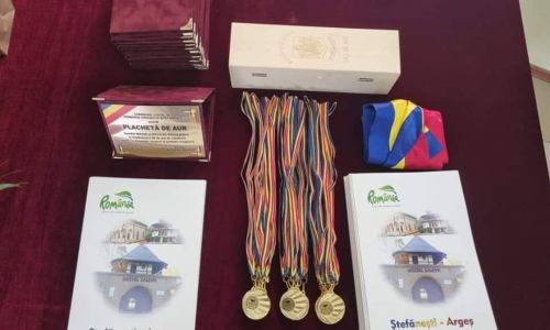 Primăria Ștefănești premiază performanță! Vești excelente pentru elevii și tinerii din oraș