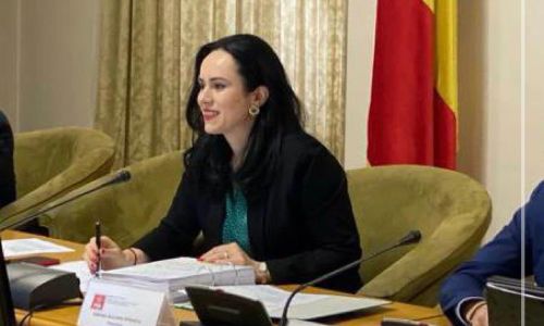 Simona Bucura Oprescu: 'Cazierul judiciar se va elibera şi în formă electronică'
