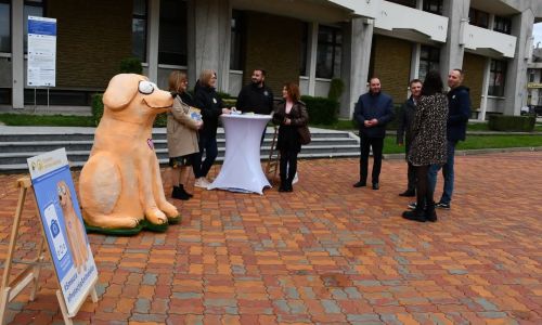 Bobiță, simbolul responsabilității față de animale în județul Argeș