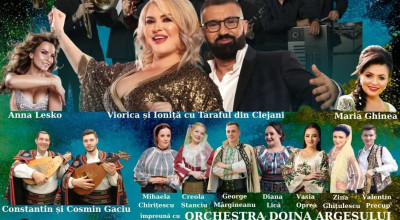 Spectacol incendiar de Ziua Orașului Ștefănești! Artiști de RENUME vor CONCERTA!