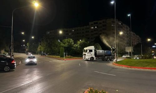 O acțiune de dezinsecție va avea loc în această noapte în Pitești!