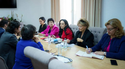 Ministrul Simona Bucura-Oprescu s-a întâlnit cu Alexandre Lourie, Director Internațional al Groupe SOS. Prioritate: Dezvoltarea economiei sociale în România
