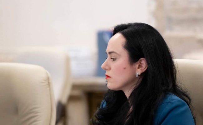 Simona Bucura Oprescu, despre digitalizarea administrației