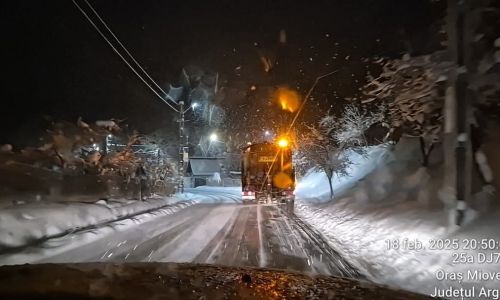 Echipele din cadrul Servicii Edilitare pentru Comunitate, ample acțiuni de deszăpezire