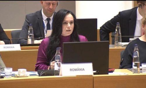 Ministrul Simona Bucura Oprescu, întrevederi cu vicepremierul Țărilor de Jos și Ministrul Muncii din Grecia!