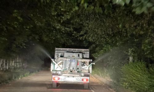 La Pitești a avut loc a doua etapă de dezinsecție!