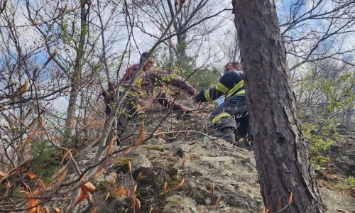Incendiul de la Cetățeni a fost LICHIDAT! Totul a pornit de la o țigară