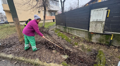 Angajații Servicii Edilitare pentru Comunitate Mioveni lucrează pentru colectarea frunzelor și a resturilor vegetale!