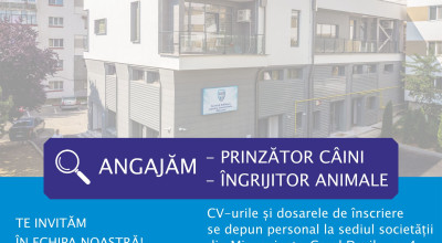 SEdC Mioveni angajează personal pentru Baza de gestionare a câinilor fără stăpân
