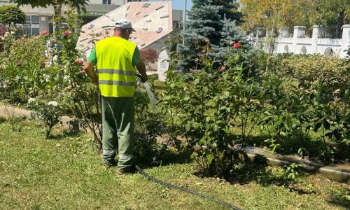 Echipele din cadrul Servicii Edilitare pentru Comunitate Mioveni, în permanență pe teren!