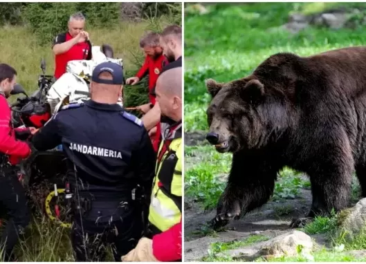 ACUM! Femeie ATACATĂ de URS la barajul Vidraru!