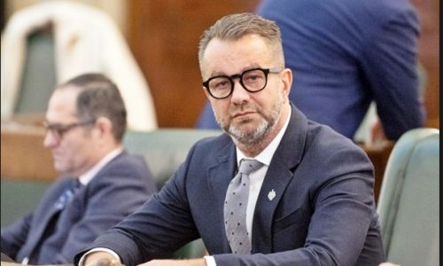 Ovidiu Puiu a fost ales chestor al Senatului României