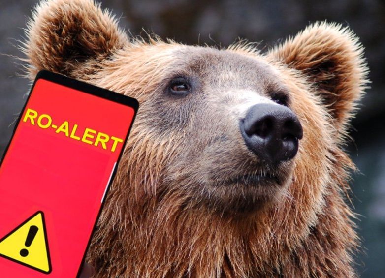 Un urs a pătruns într-o gospodărie din Argeş! A fost emis mesaj RO-ALERT!