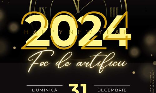 Momente de neuitat de Revelion, la Mioveni