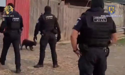 VIDEO! Ferma GROAZEI în Argeş! Descoperire ŞOCANTĂ