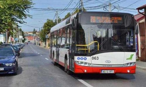 Transport gratuit la 'Simfonia Lalelelor', în Parcul 'Lunca Argeșului'!