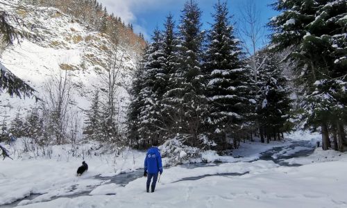 ABAAV ATENȚIONARE: Traversarea cursurilor de apă pe gheață este periculoasă!