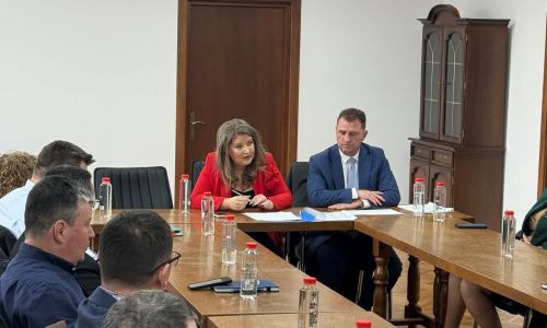 Ședință importantă în Argeș! Prefectul, măsuri pentru prevenirea pestei porcine africane