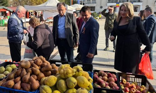 Sărbătoarea Recoltei a început la Mioveni!
