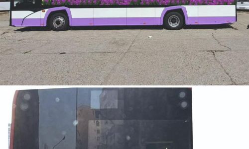 Transport GRATUIT la Simfonia Lalelelor 2025