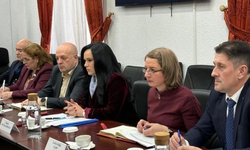 Ministrul Simona Bucura Oprescu, întâlnire cu reprezentanții Camerei de Comerț Americane în România