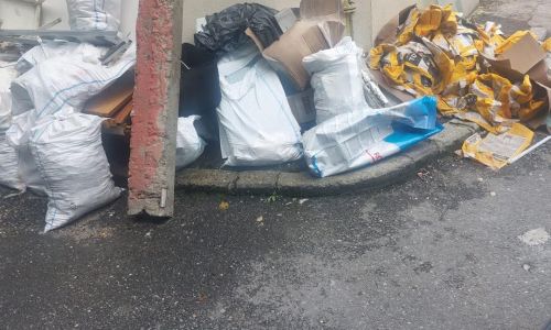Pentru un oraș curat și civilizat: controale zilnice ale Poliției Locale Pitești privind respectarea normelor de salubritate