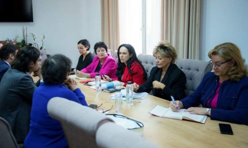 Ministrul Simona Bucura-Oprescu s-a întâlnit cu Alexandre Lourie, Director Internațional al Groupe SOS. Prioritate: Dezvoltarea economiei sociale în România
