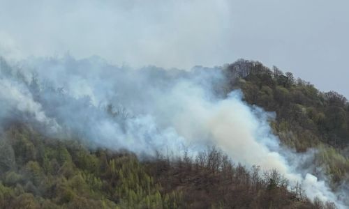 ACUM! INCENDIU URIAȘ în Argeș! ARDE o PĂDURE