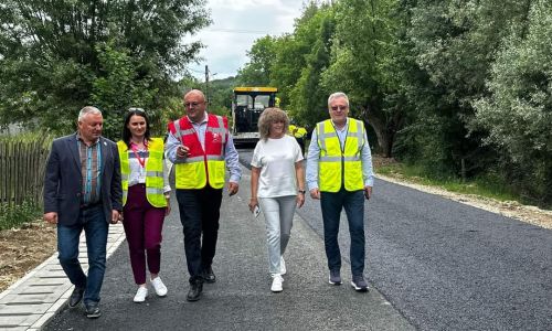 Ion Mînzînă: "Modernizăm și Dj 738 Mihăești - Poienarii de Muscel"