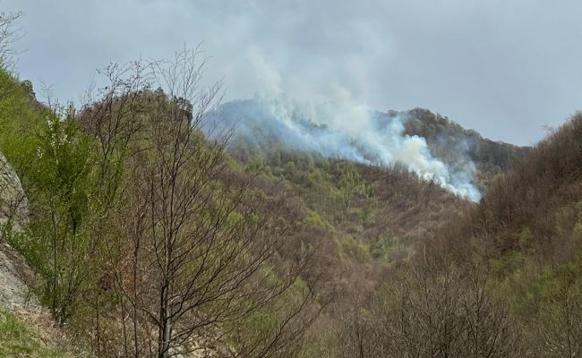 ACUM! INCENDIU URIAȘ în Argeș! ARDE o PĂDURE