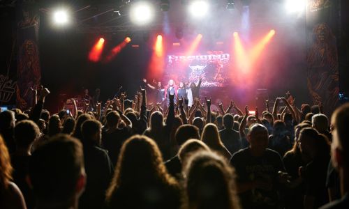 Festival de muzică rock în Parcul "Lunca Argeşului"