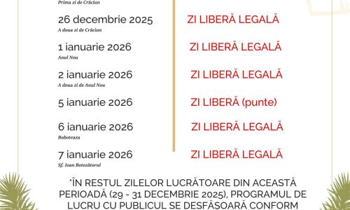 Servicii Edilitare pentru Comunitate Mioveni, programul cu publicul în perioada sărbătorilor de iarnă!