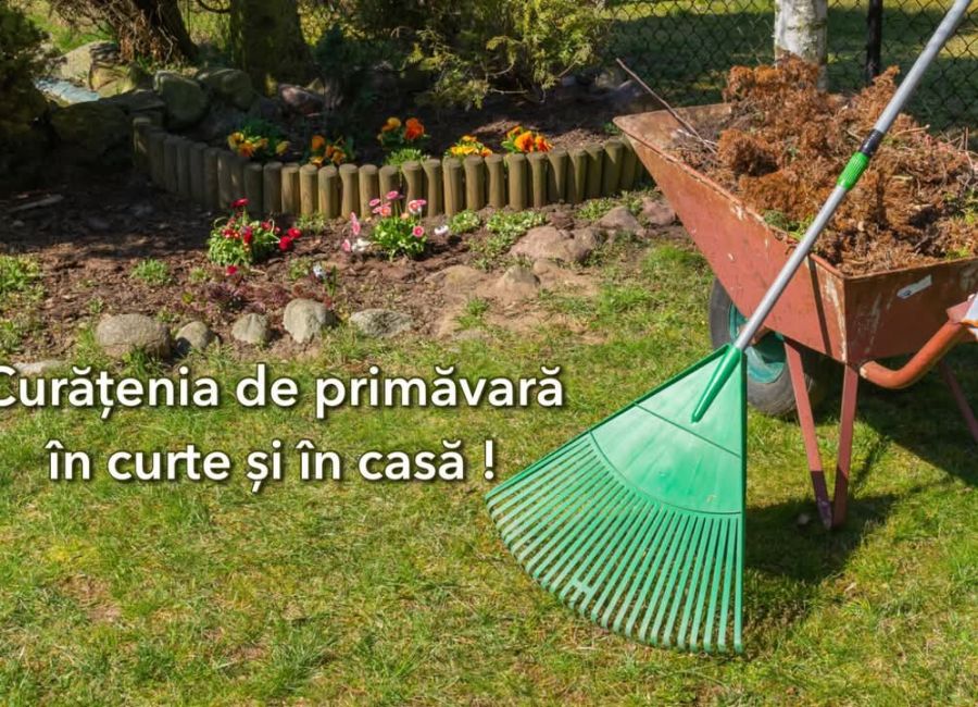 Curățenia de primăvară în curte și în casă - împreună pentru un Pitești curat!