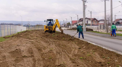 Lucrări privind amenajarea spaţiului verde pe o stradă din Mioveni