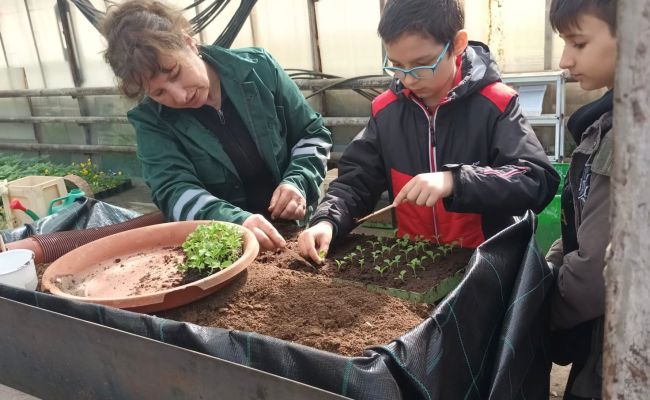 În 'Săptămâna Verde', elevii piteșteni învață cum se produc florile plantate în orașul lor