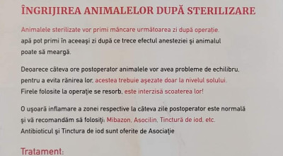 Acțiune de sterilizare a câinilor și pisicilor în comuna Bălilești
