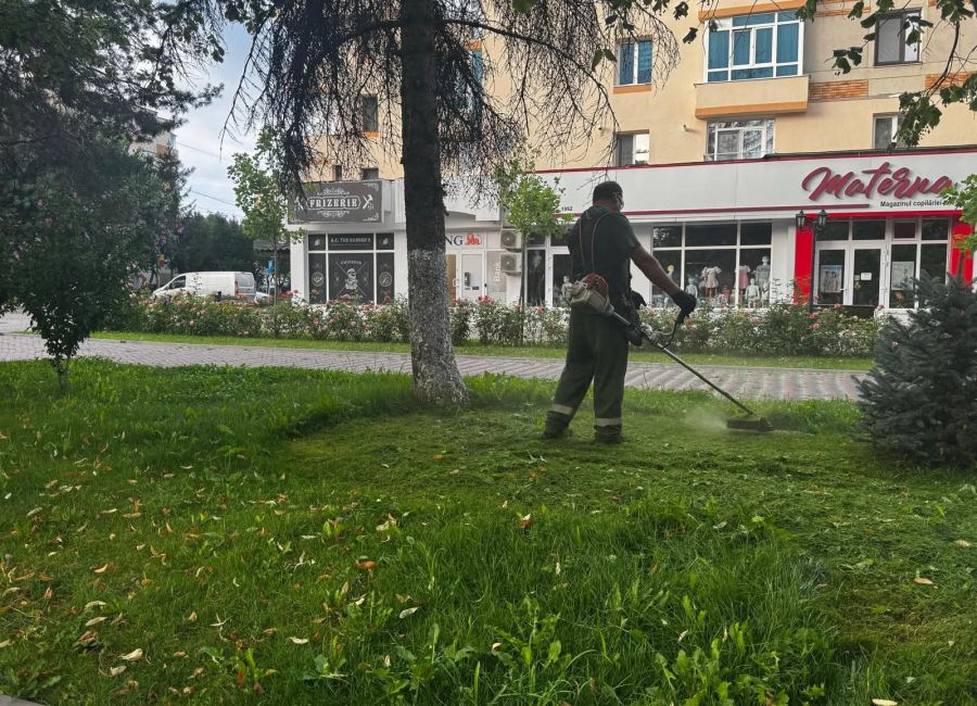 Ample acțiuni de curățenie a spațiului verde din orașul Mioveni!