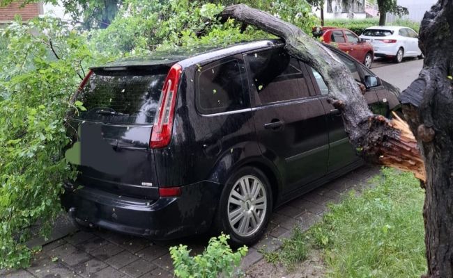 Intervenție de URGENȚĂ în Pitești! Copaci căzuți pe mașini!