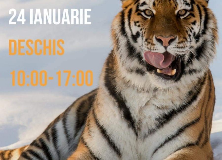 Grădina Zoologică Pitești, deschisă miercuri, 24 ianuarie