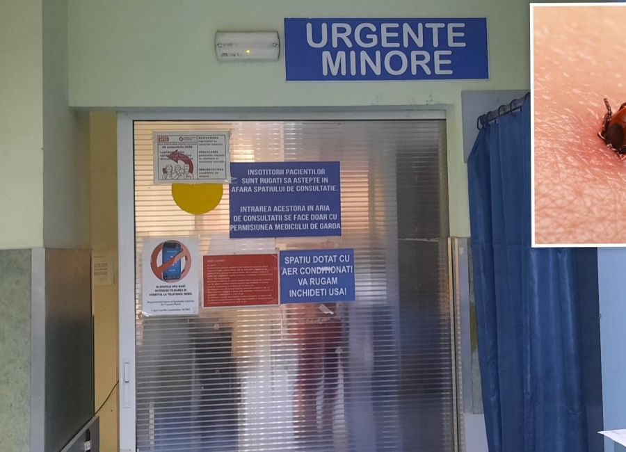 Cinci argeşeni au ajuns la spital după ce au fost muşcaţi de căpuşe