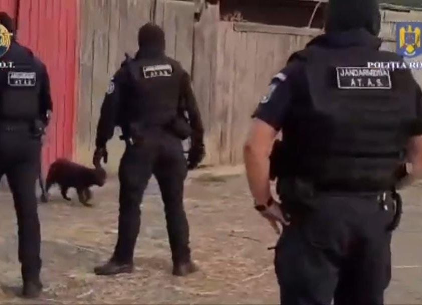 VIDEO! Ferma GROAZEI în Argeş! Descoperire ŞOCANTĂ