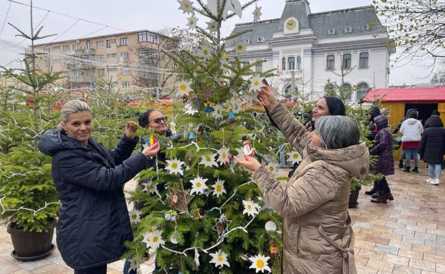Expoziție inedită de brazi în cadrul Târgului de Crăciun de la Pitești