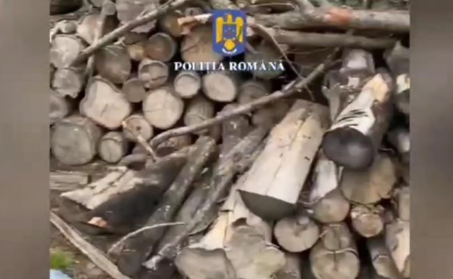 VIDEO! PERCHEZIŢII în Argeş! 19 persoane vor fi AUDIATE!