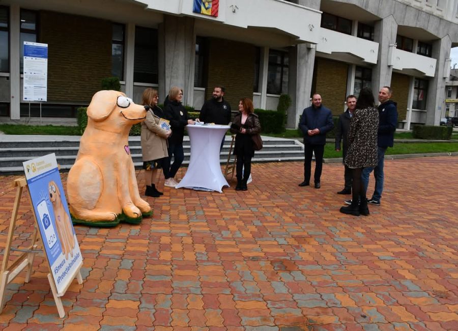 Bobiță, simbolul responsabilității față de animale în județul Argeș