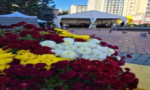 Festivalul 'Toamna Piteşteană' se prelungeşte până duminică