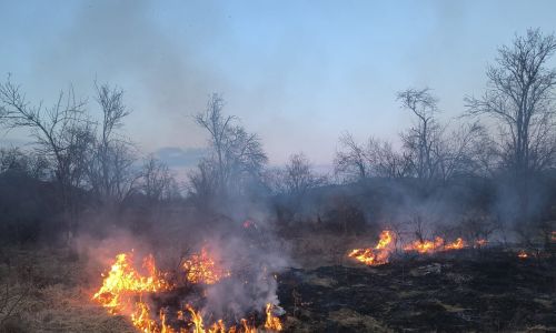 ACUM! Incendiu într-o GOSPODĂRIE din Argeș!