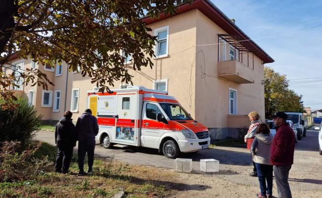 Campanie de sterilizare a câinilor și pisicilor în comuna Bradu