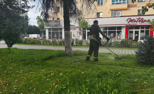 Ample acțiuni de curățenie a spațiului verde din orașul Mioveni!
