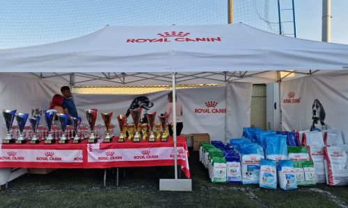 Un eveniment în premieră națională s-a desfășurat în comuna Bradu